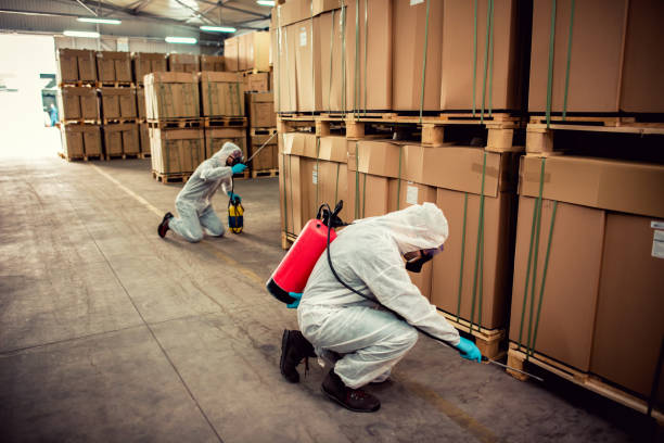 Best Pest Inspection Near Me  in North Miami Beach, FL