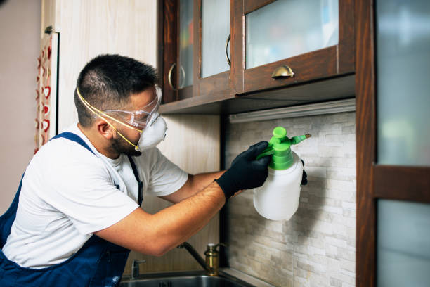 Best Emergency Pest Control  in North Miami Beach, FL