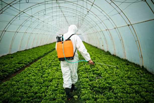 Best Best Pest Control Companies  in North Miami Beach, FL
