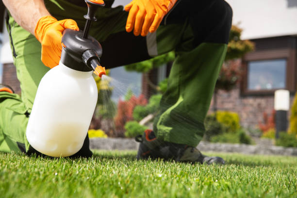 Best Pest Control Near Me in North Miami Beach, FL