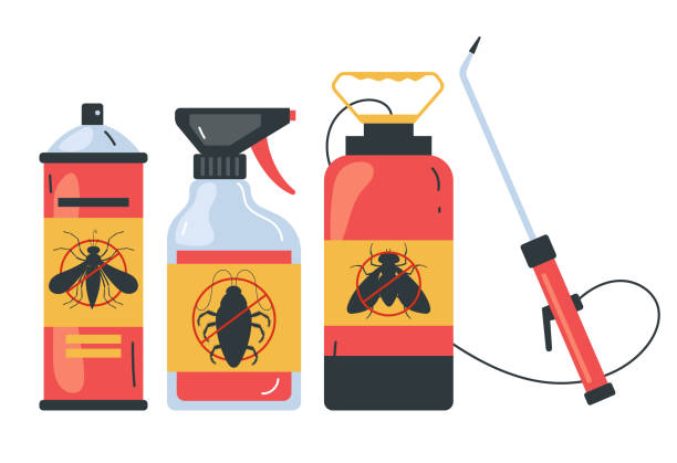 Best Spider Control Near Me  in North Miami Beach, FL